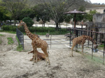 DSC09735.jpg