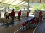 DSC09797.jpg