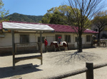 DSC09819.jpg