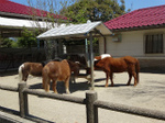 DSC09839.jpg