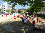 DSC09911.jpg