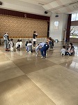 IMG_0338.jpg