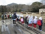 IMG_0373.jpg