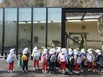 IMG_0394.jpg