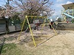 IMG_0870.jpg