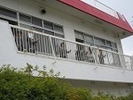 IMG_0890.jpg