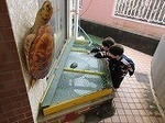 IMG_0896.jpg