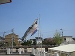 IMG_0908.jpg