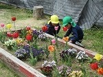 IMG_0926.jpg