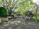 IMG_0951.jpg