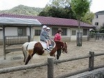 IMG_0961.jpg