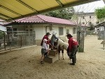 IMG_1025.jpg