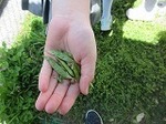 IMG_1128.jpg