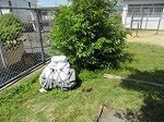 IMG_1130.jpg
