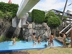 IMG_2938.jpg