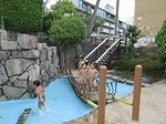 IMG_2943.jpg