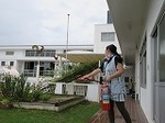 IMG_2968.jpg