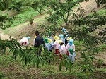 IMG_3002.jpg