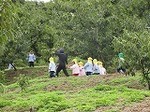 IMG_3005.jpg