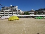 IMG_3226.jpg