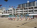 IMG_3231.jpg
