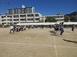 IMG_3240.jpg
