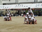 IMG_3249.jpg