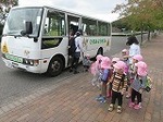 IMG_3433.jpg