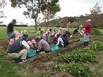 IMG_3440.jpg