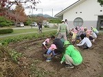 IMG_3443.jpg