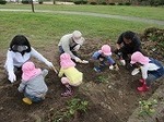 IMG_3446.jpg