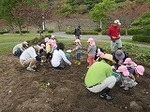 IMG_3448.jpg