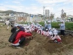 IMG_3527.jpg