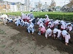 IMG_3536.jpg