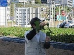 IMG_3549.jpg