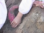 IMG_3556.jpg