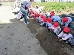 IMG_3588.jpg