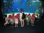 IMG_3738.jpg