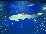 IMG_3743.jpg