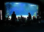 IMG_3747.jpg