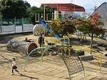 IMG_3912.jpg