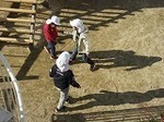 IMG_3913.jpg