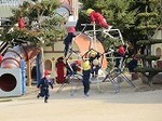 IMG_4165.jpg