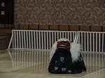 IMG_4200.jpg