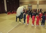 IMG_4208.jpg