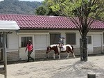 IMG_4844.jpg