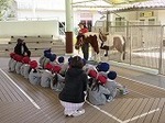 IMG_4852.jpg