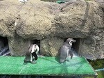IMG_4859.jpg