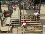 IMG_4897.jpg