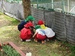 IMG_4976.jpg